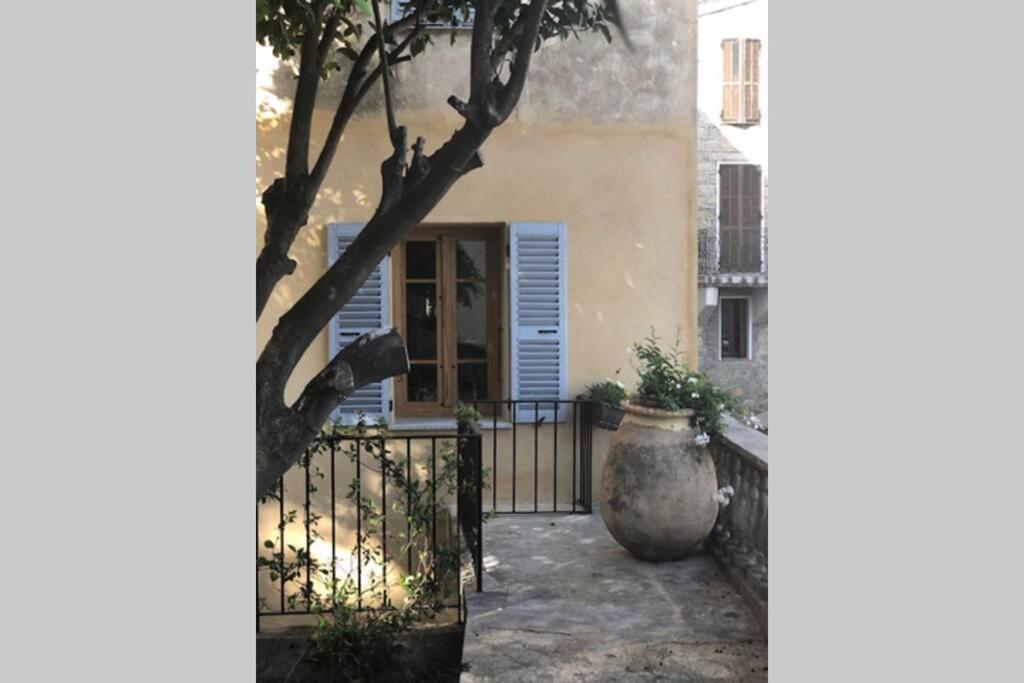 Appartement De Charme A Olmeto オルムト エクステリア 写真